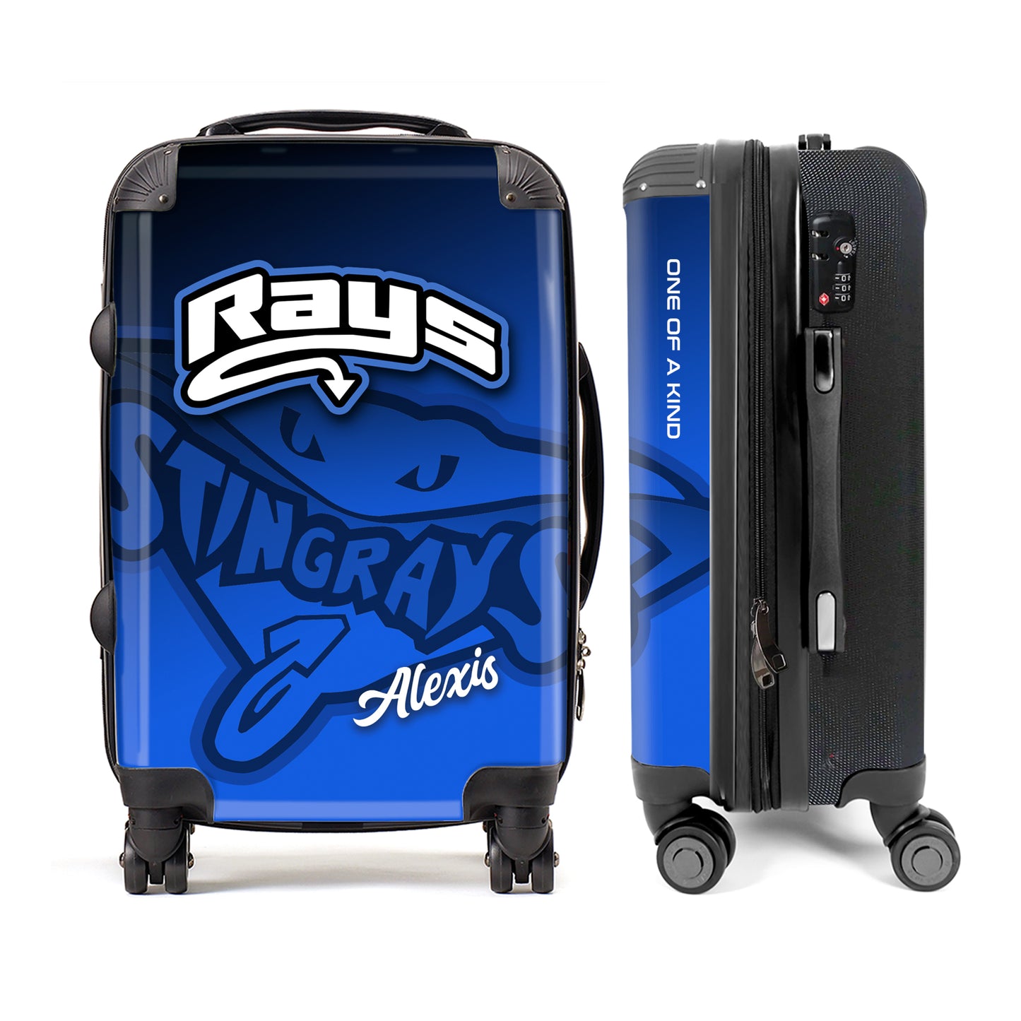Rays Luggage
